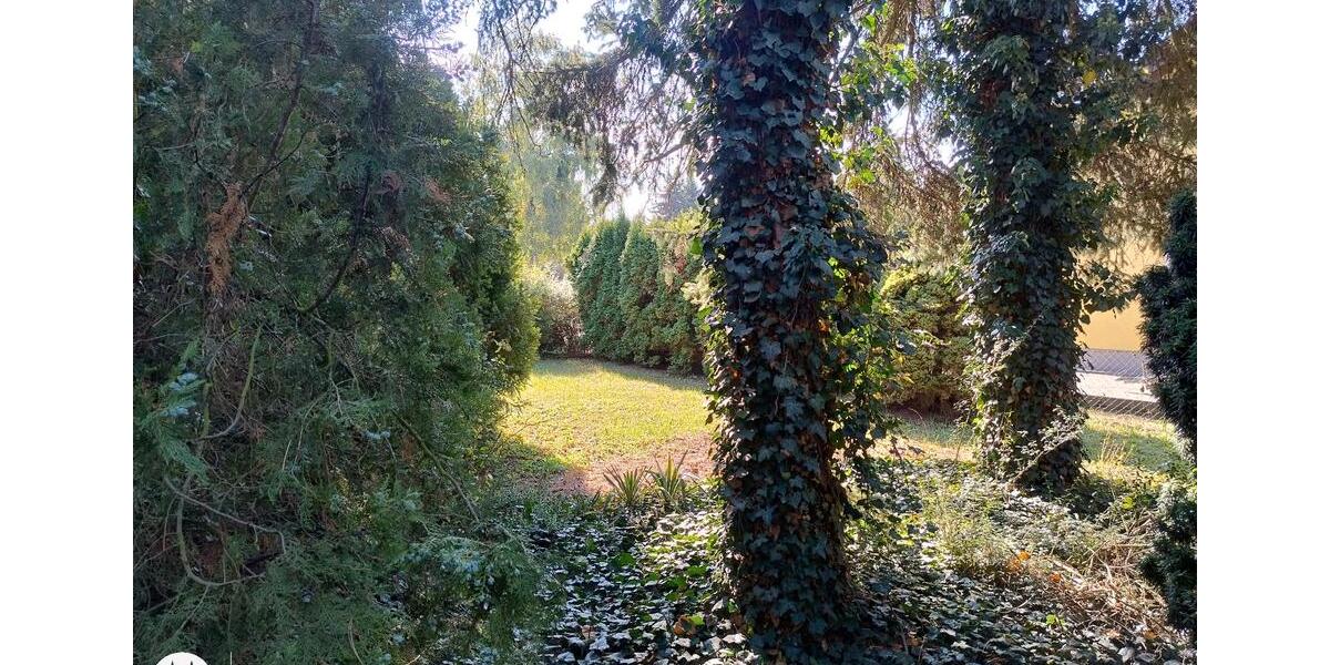 Bungalow Belgern-Schildau Schildau - 1 Zimmer, 40 m&sup2;, 86.000&euro; | Angebot:26480108