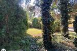 Bungalow Belgern-Schildau Schildau - 1 Zimmer, 40 m&sup2;, 86.000&euro; | Angebot:26480108