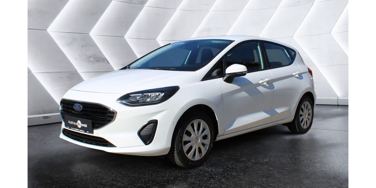 Ford Fiesta 89.800 km 10.400 &euro; Waldkirch 79183