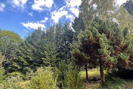 Grundstück Zschopau - 25.000&euro; | Angebot:23670847