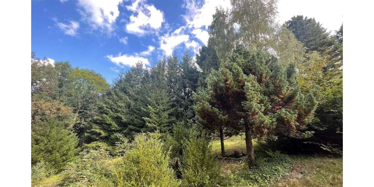 Grundstück zu verkaufen in Zschopau 25.000 € 2560 m² zimmer