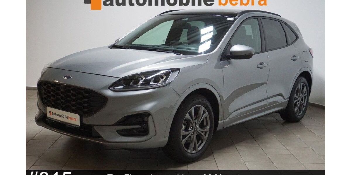 Ford Kuga 16.005 km 21.290 &euro; Bebra 36179