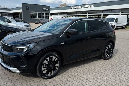 Opel Grandland (X) 15.400 km 27.990 &euro; Wietmarschen / Lohne 49835