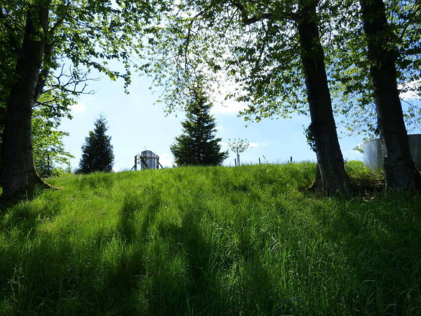 *** Im Entenhof *** - Ein Haus mit Charme und Zukunft 9 zimmer