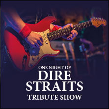 One Night of Dire Straits - Tribute Show 02.04.2027 Festhalle Ilmenau