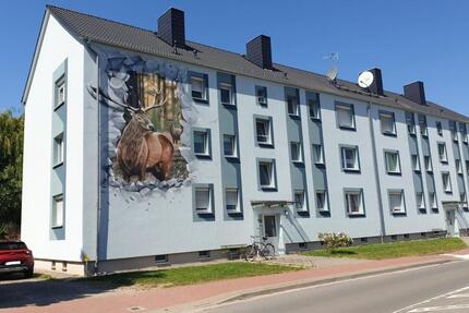 4-Raum-Wohnung in Bismark 4 zimmer