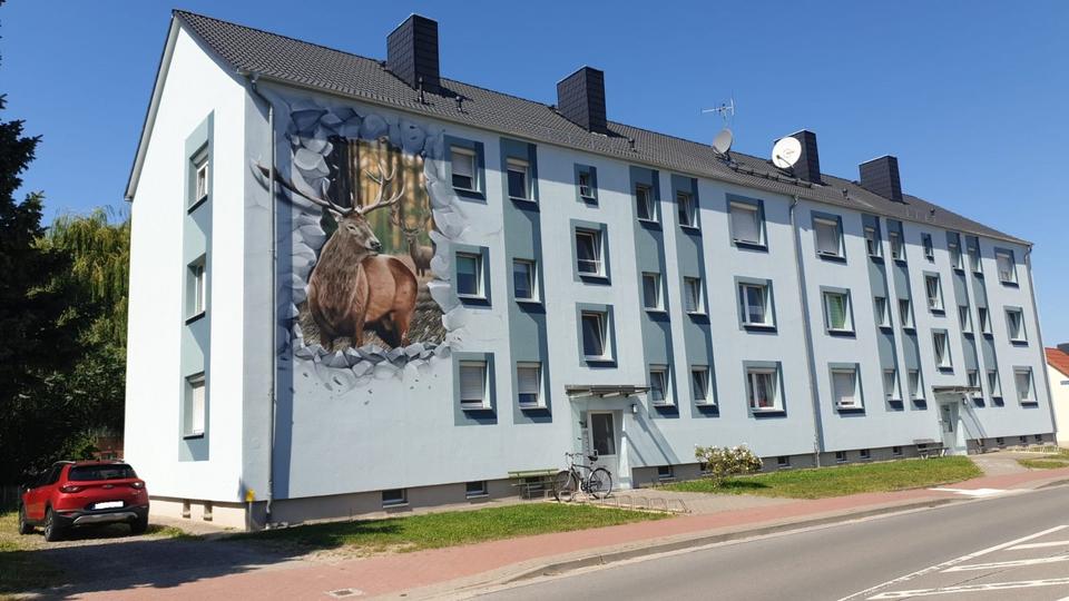 4-Raum-Wohnung in Bismark 4 zimmer