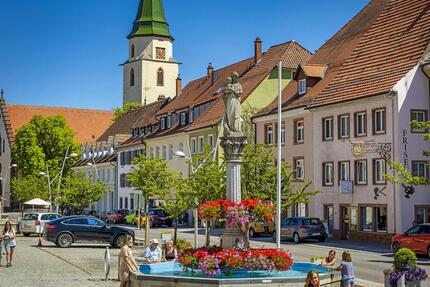Büro- Praxisräume zu vermieten – ca. 87 m² in zentraler Lage zimmer