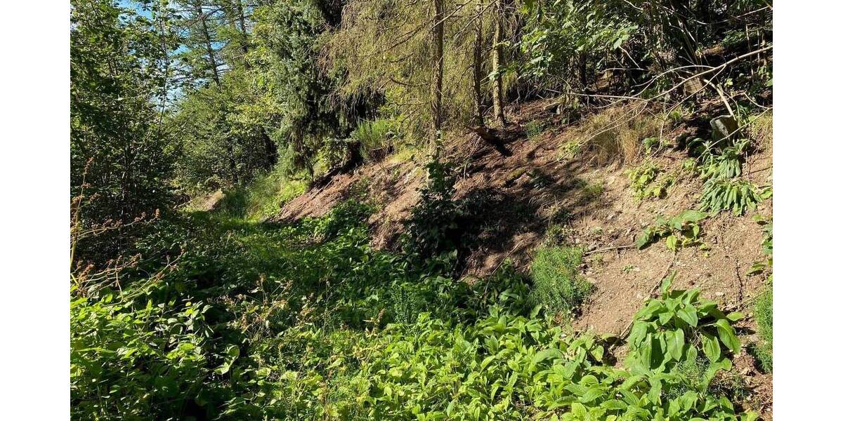 Grundstück Bad Berleburg Aue - 22.000&euro; | Angebot:25667709