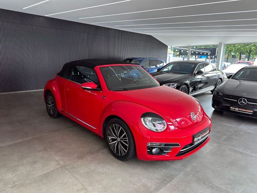Beetle