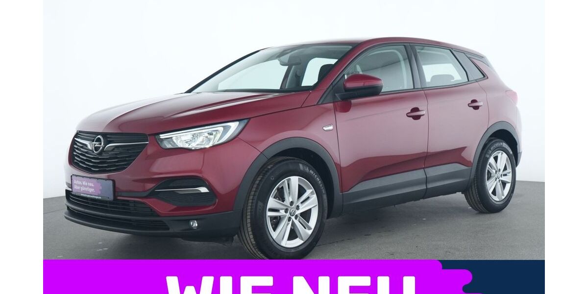 Opel Grandland (X) 29.875 km 18.445 &euro; Garching bei München 85748