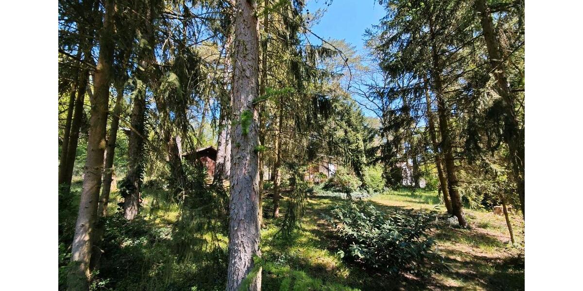 Bungalow Schorfheide - 30.000&euro; | Angebot:26886107