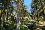 Bungalow Schorfheide - 30.000&euro; | Angebot:26886107