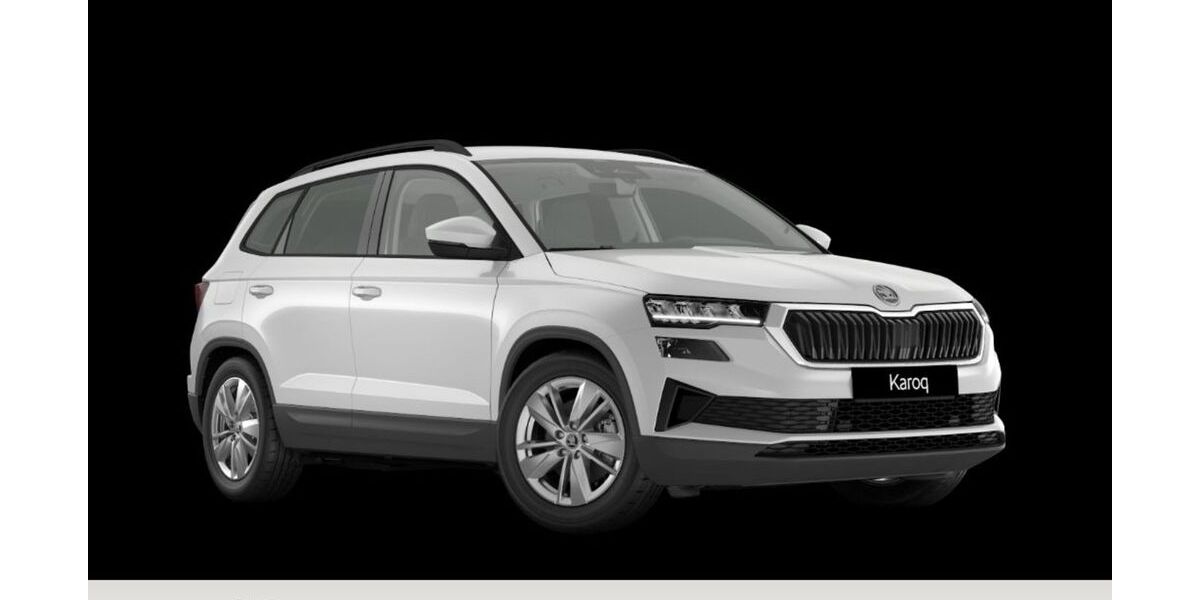 Skoda Karoq 3.308 km 34.970 &euro; Osterode 37520