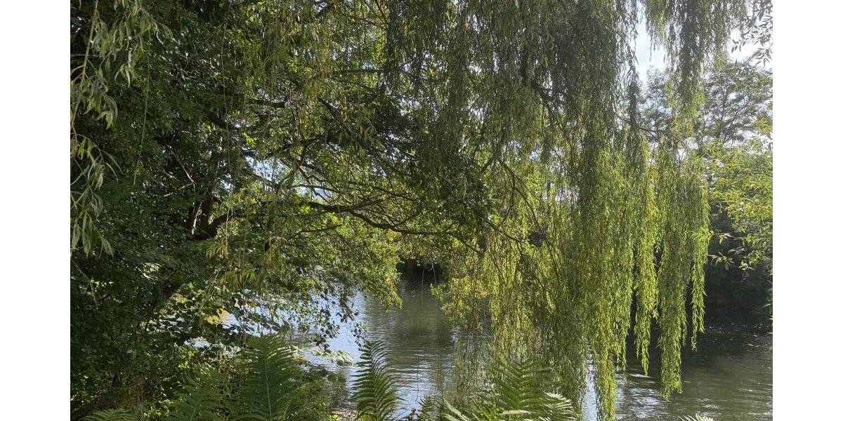 Philippsthal, 2 Familienhaus - Zweifamilienhaus Philippsthal (Werra) | Angebot:24794605