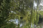Philippsthal, 2 Familienhaus - Zweifamilienhaus Philippsthal (Werra) | Angebot:24794605