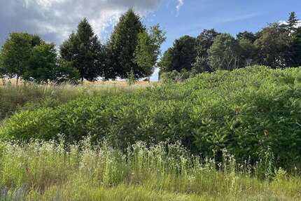 Grundstück Bassenheim - 227.850&euro; | Angebot:25483683