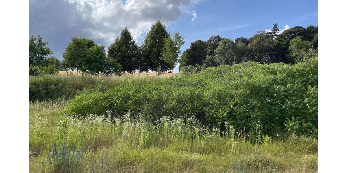 Grundstück Bassenheim - 227.850&euro; | Angebot:25483683