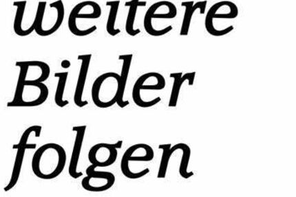 Ford Galaxy 286.000 km 4.299 &euro; Michelfeld 74545