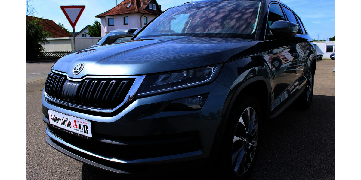 Skoda Kodiaq 206.000 km 17.950 &euro; Schömberg 72355
