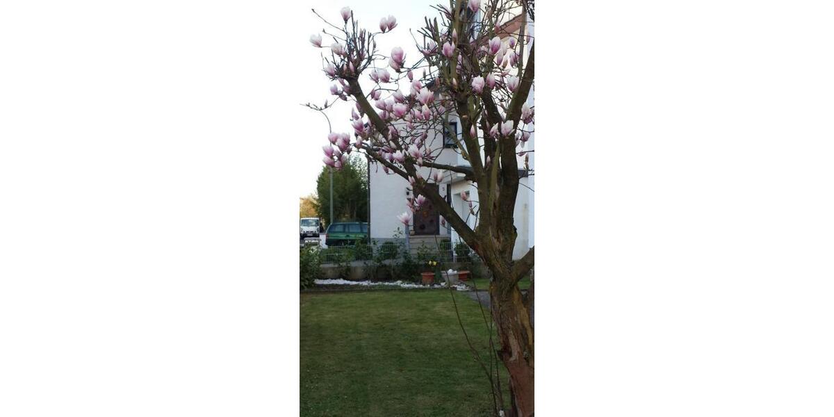 Erdgeschoßwohnung Bamberg Am Bruderwald - 4 Zimmer, 115 m&sup2;, 1.150&euro; | Angebot:25392054