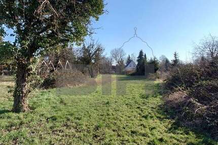 Grundstück zu verkaufen in Brehna 160.000 € 1975 m² zimmer