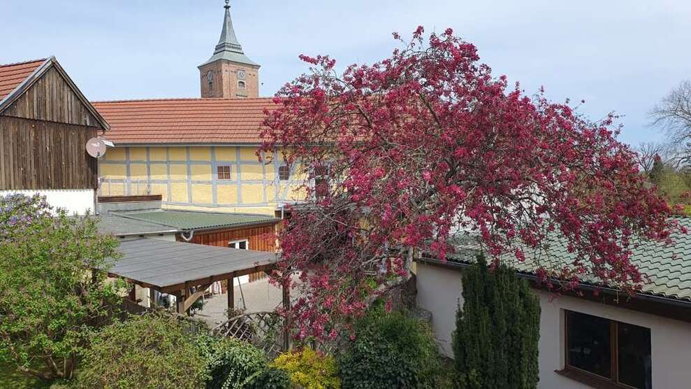 Haus zum Kaufen in Lenzen (Elbe) 169.000 € 180 m²