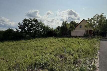 Grundstück zu verkaufen in Höchstadt an der Aisch 360.000 € 800 m² zimmer