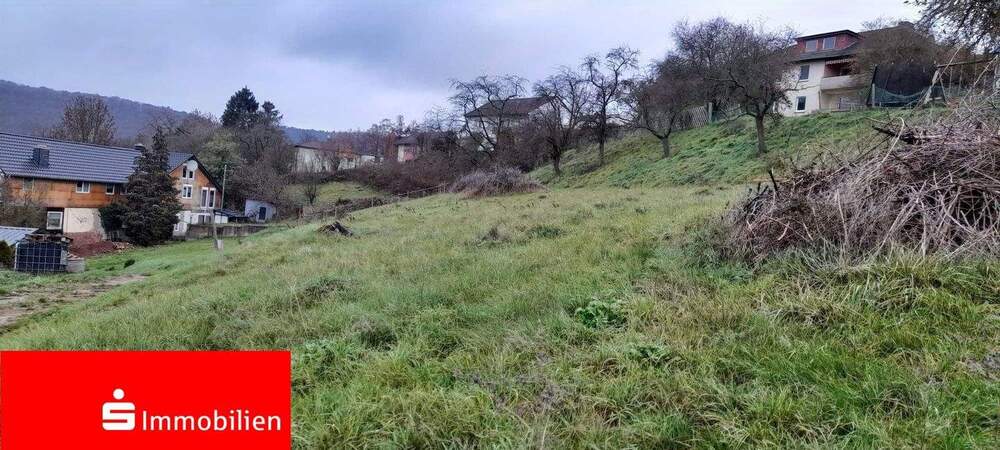 Grundstück Sontra - 32.500&euro; | Angebot:25667693