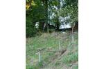 Grundstück Stadtroda - 10.000&euro; | Angebot:26089427