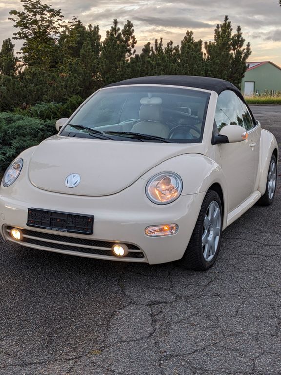 Beetle