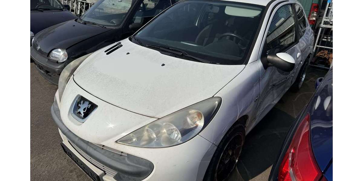 Peugeot 206 165.000 km 399 &euro; Neustadt 67433