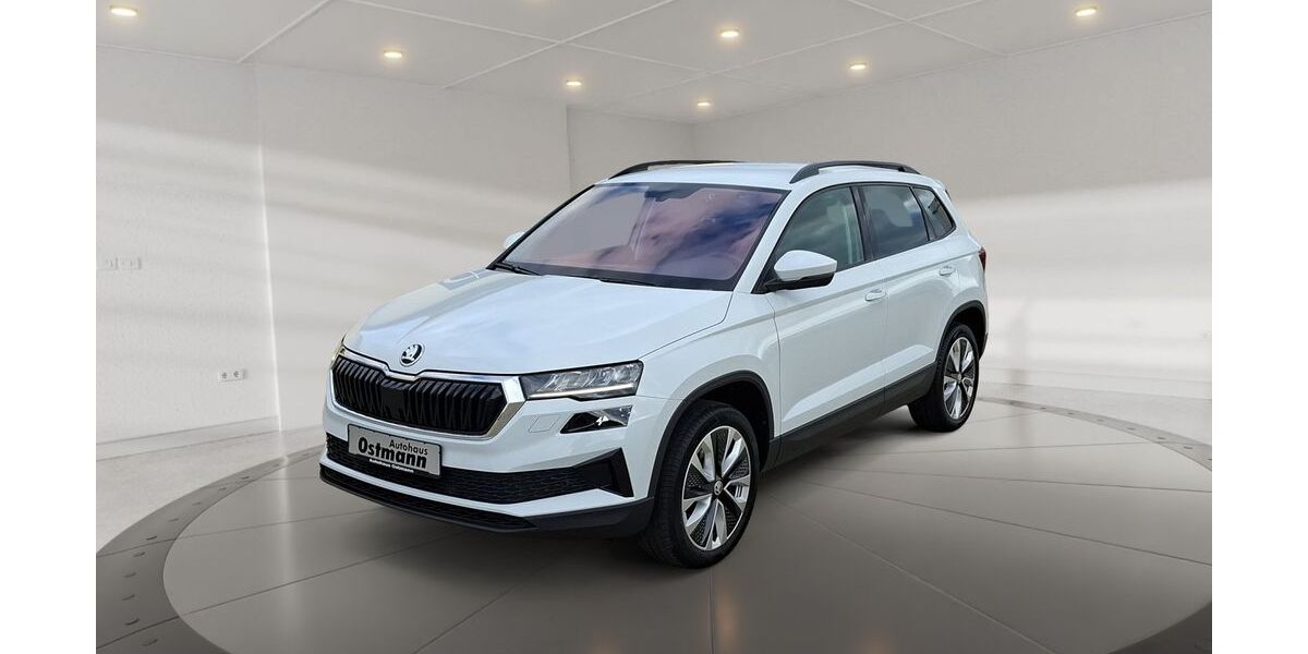 Skoda Karoq 81.762 km 24.330 &euro; Fritzlar 34560