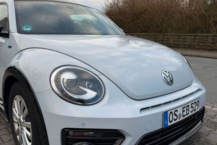 VW Beetle 100.350 km 19.000 &euro; Melle 49326