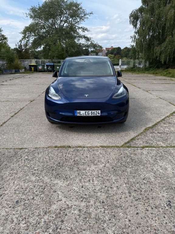 Model Y
