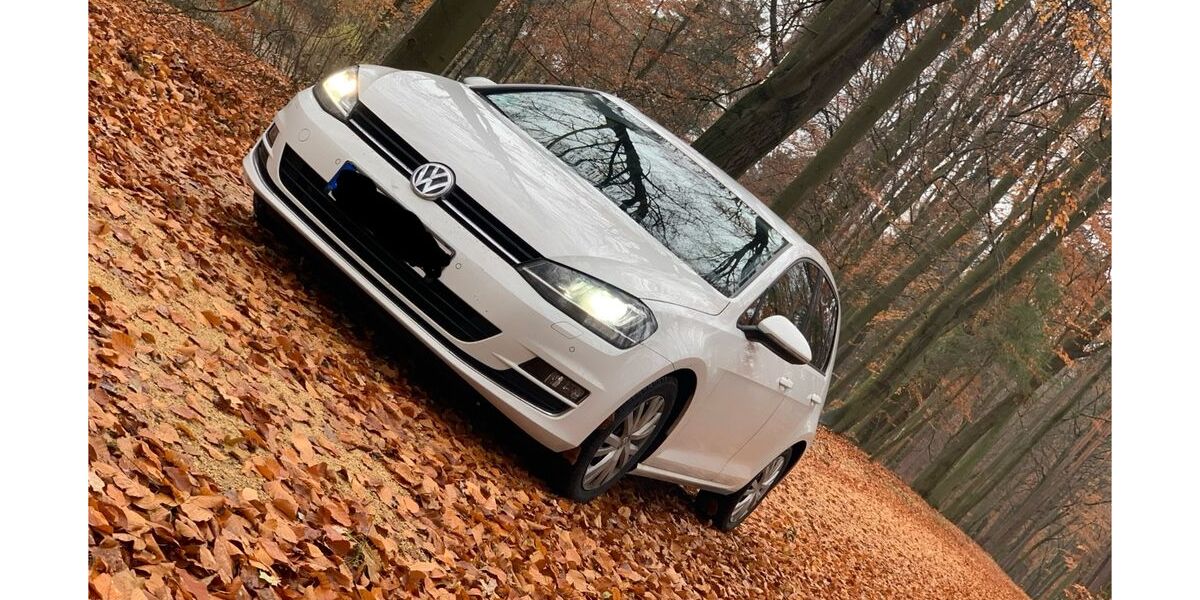 VW Golf 220.000 km 8.800 &euro; Riesa 01589