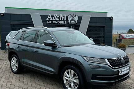 Skoda Kodiaq 215.000 km 20.900 € Greifswald 17489