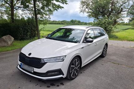 Skoda Octavia 134.000 km 23.990 &euro; Sömmerda 99610