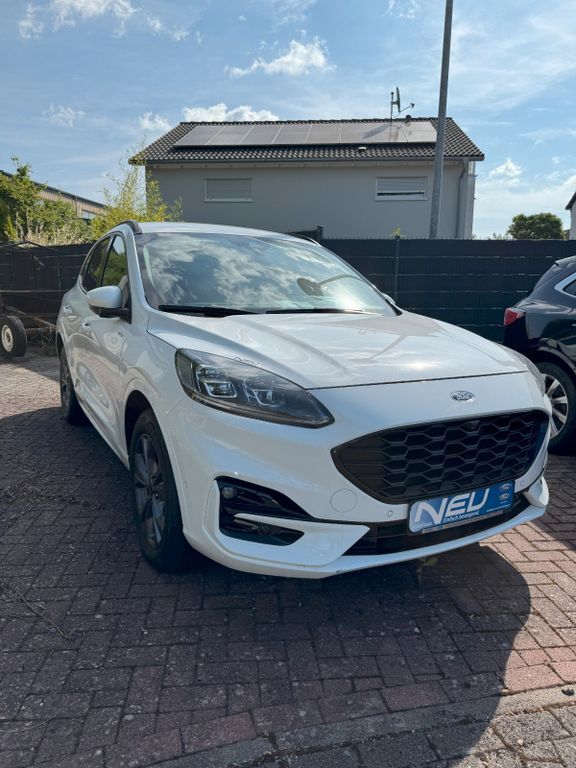Kuga