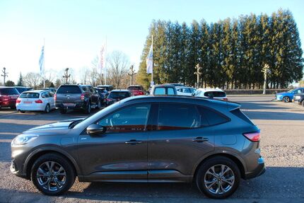Ford Kuga 10.000 km 29.990 € Speicher 54662