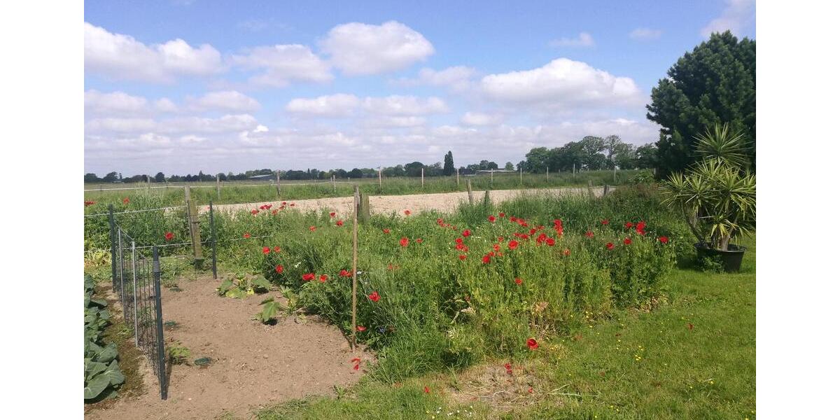 Einfamilienhaus Kempen - 3 Zimmer, 110 m&sup2;, 1.200&euro; | Angebot:25396668