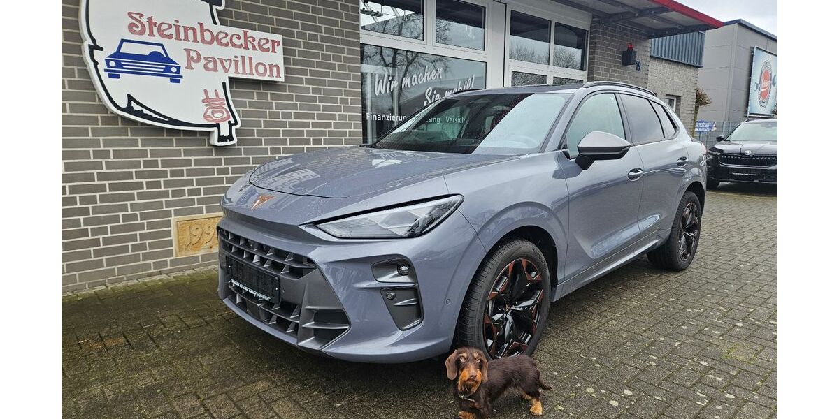 Cupra Terramar 11.000 km 39.990 &euro; Recke 49509