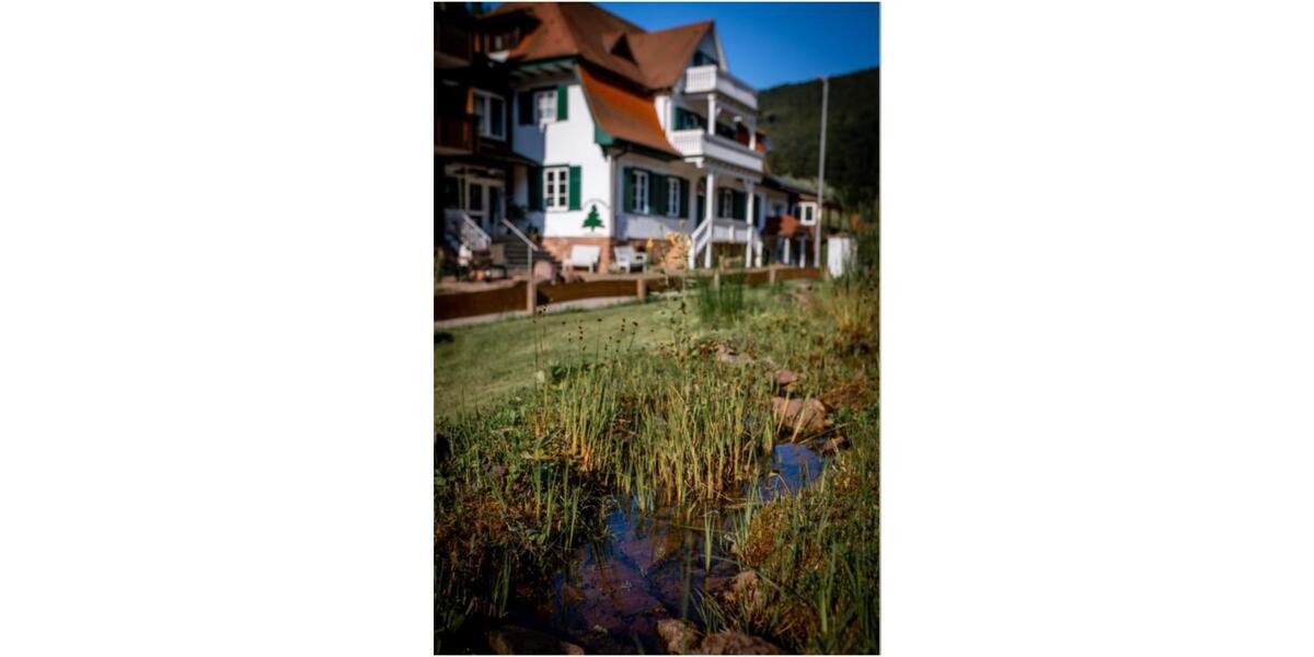 6 Zimmer pure Möglichkeiten in Naturlage - Eberbach im Odenwald 6 zimmer