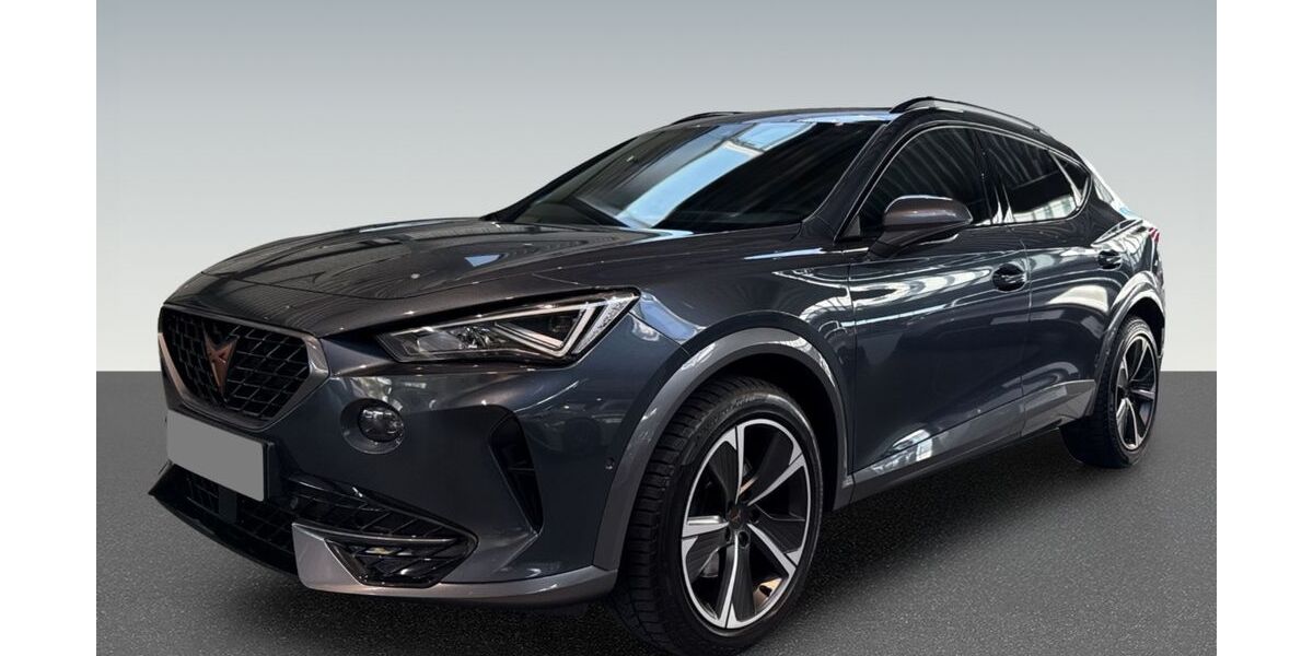 Cupra Formentor 111.193 km 21.880 &euro; Pforzheim 75177