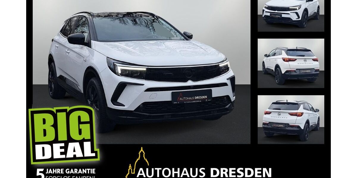 Opel Grandland (X) 18.655 km 21.990 &euro; Dresden 01067