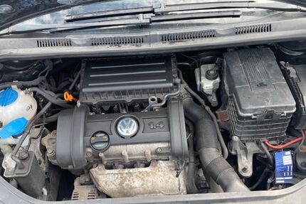 VW Golf Plus 253.901 km 1.550 € Steinfurt 48565