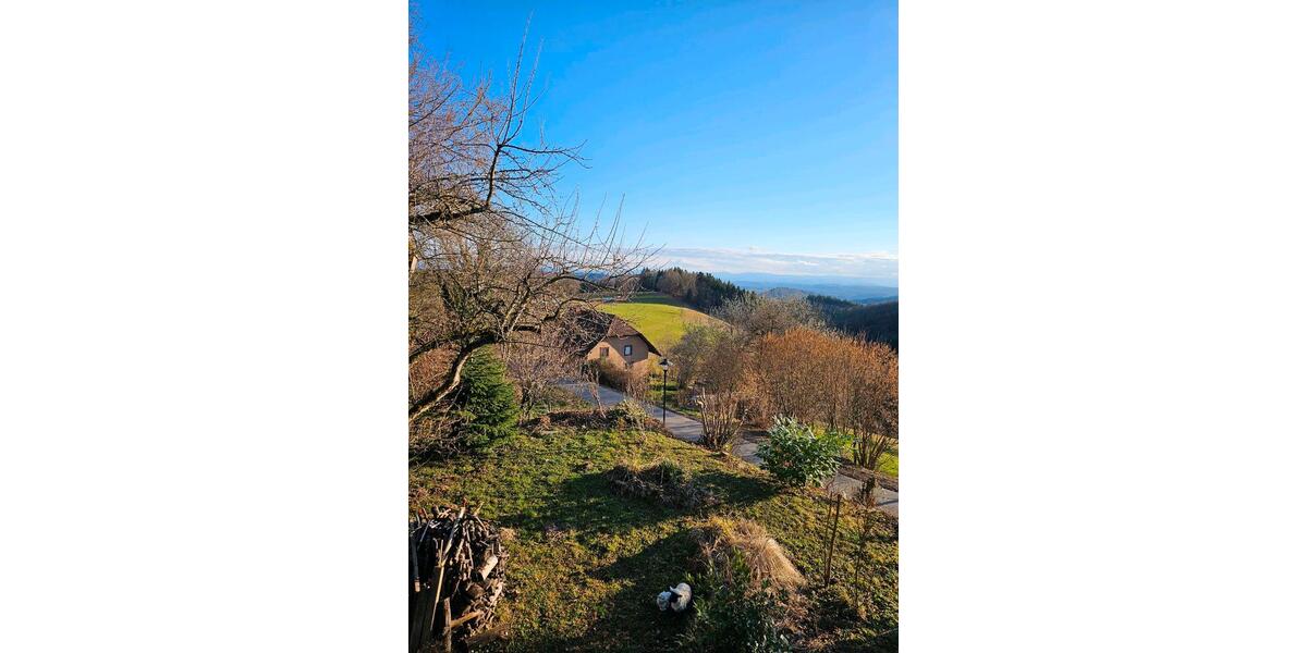 Erdgeschoßwohnung Steinen - 2.5 Zimmer, 75 m&sup2;, 750&euro; | Angebot:25291700