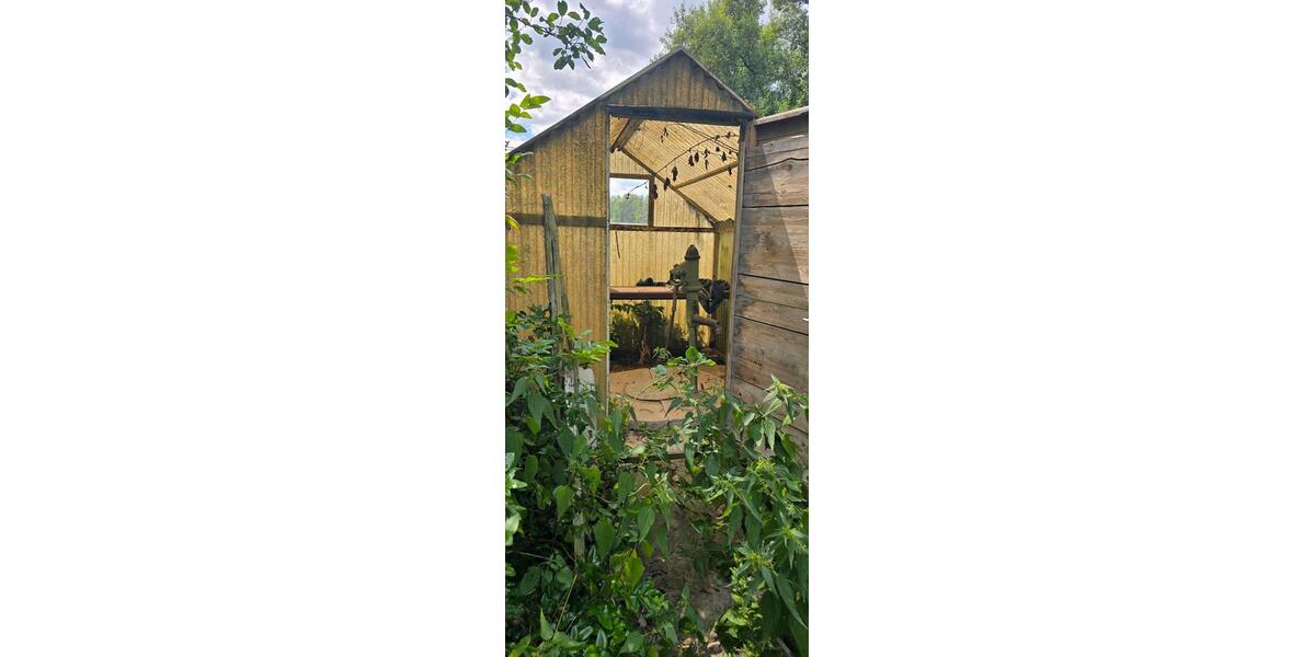 Einfamilienhaus Neunburg vorm Wald - 29.500&euro; | Angebot:27164045
