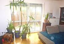 Charmante Terrassenwohnung in ruhiger Wohnlage