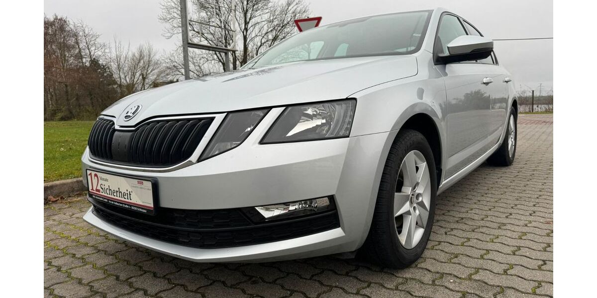 Skoda Octavia 134.730 km 12.899 &euro; Schkopau 06258